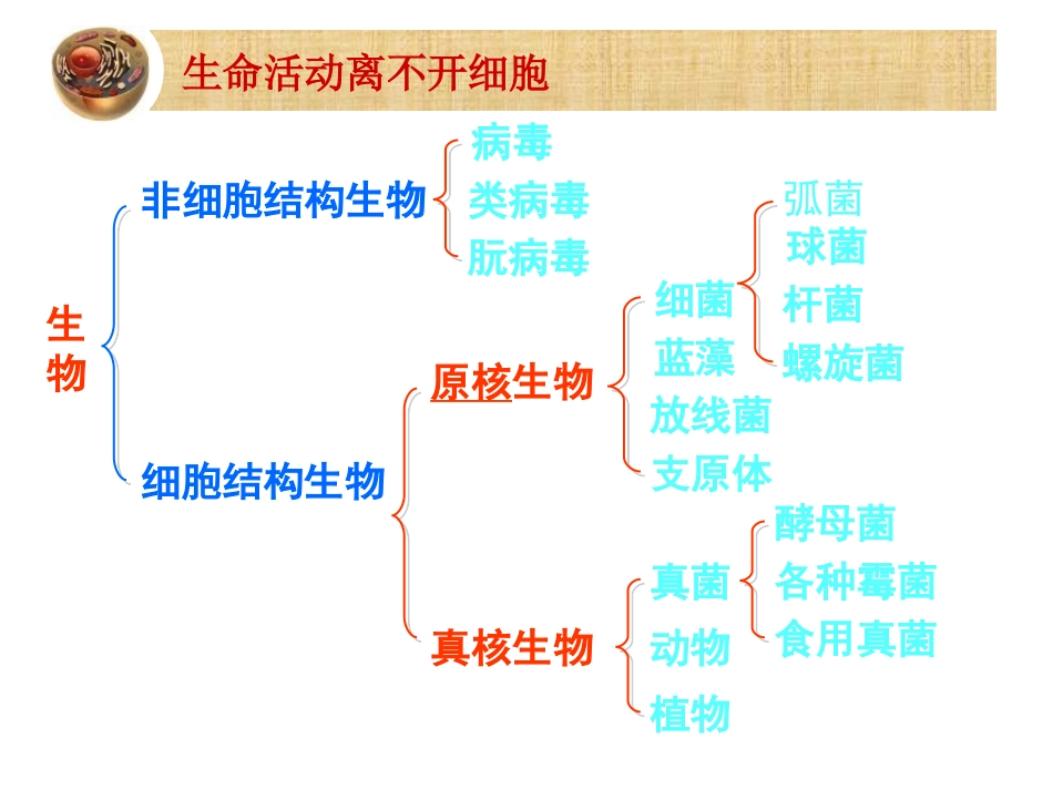 科学前沿组装细胞-(3)_第3页