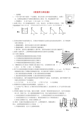 中考物理二轮复习 二(密度浮力和压强)训练题试卷