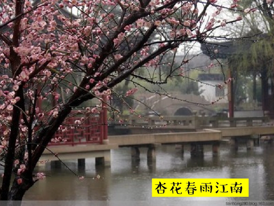 17安塞腰鼓_第1页