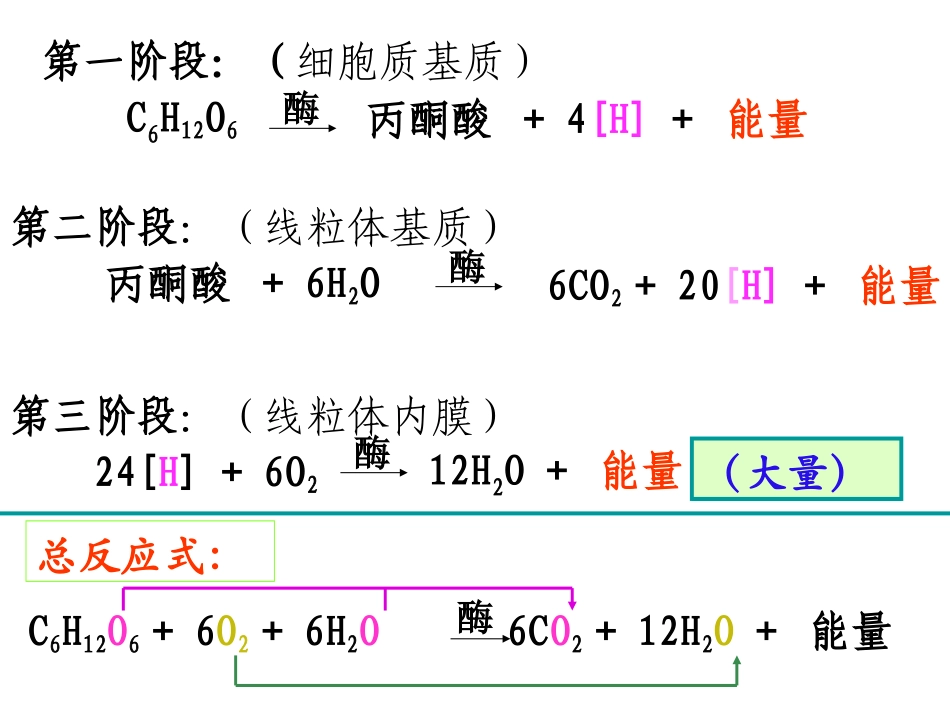 《复习光合作用和呼吸作用》_第2页