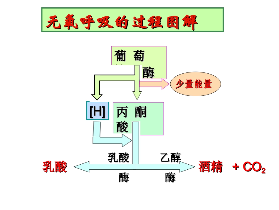 《复习光合作用和呼吸作用》_第3页