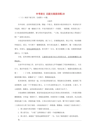 中考语文 记叙文阅读训练28试卷