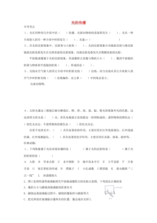 中考物理专题复习 光的传播试卷