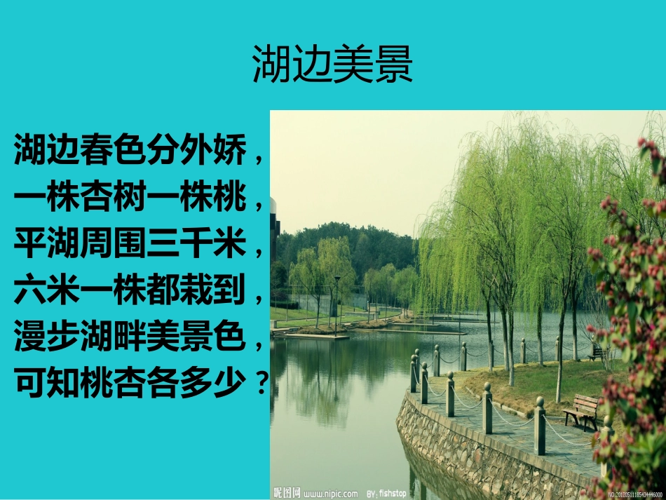 植树问题练习_第2页