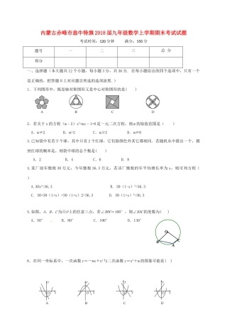 内蒙古赤峰市翁牛特旗届九年级数学上学期期末考试试题 新人教版 试题