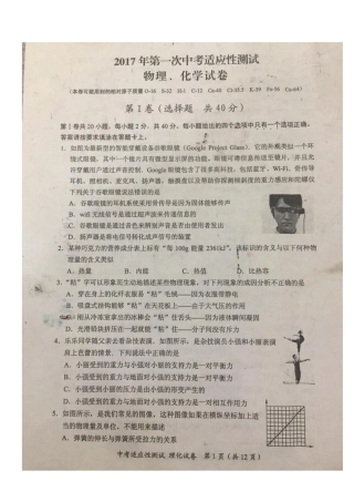 中考物理化学第一次适应性测试卷(pdf)试卷