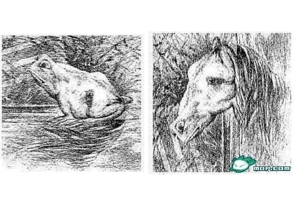 语文天地-(2)_第3页