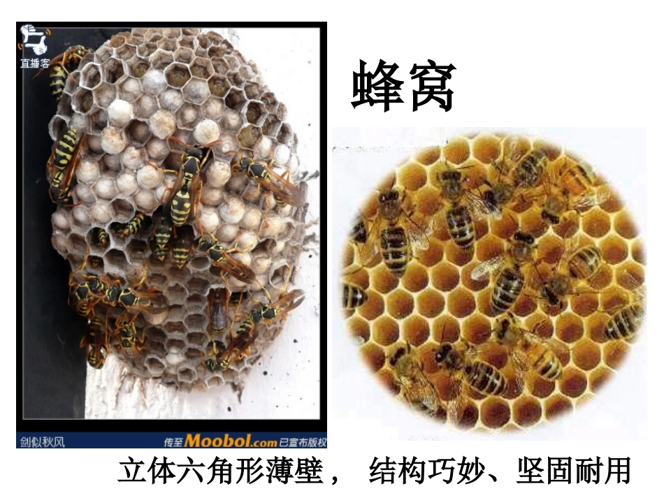 二、结构的功能与分类_第2页