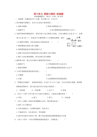 九年级化学上册 第六单元 燃烧与燃料检测题 鲁教版试卷