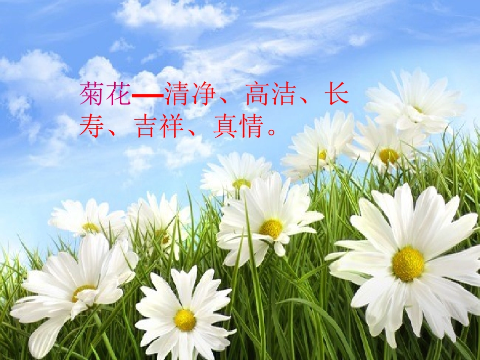 19紫藤萝瀑布_第2页