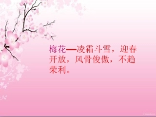 19紫藤萝瀑布