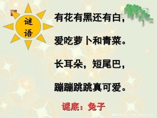 小白兔和小灰兔1