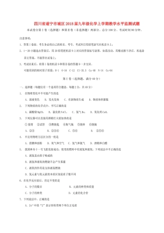 九年级化学上学期教学水平监测试卷 新人教版试卷