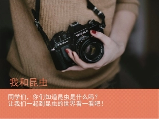 10.我和昆虫