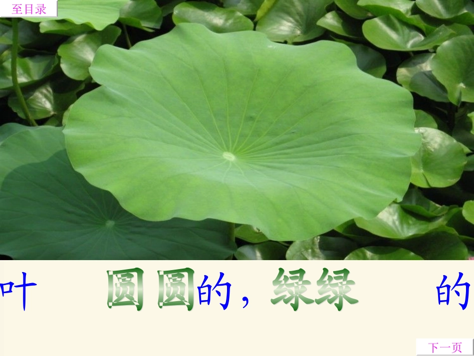荷叶圆圆公开课_第2页