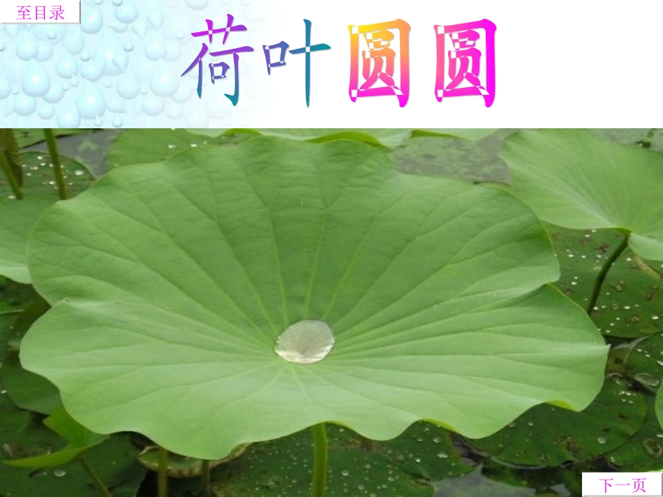 荷叶圆圆公开课_第3页