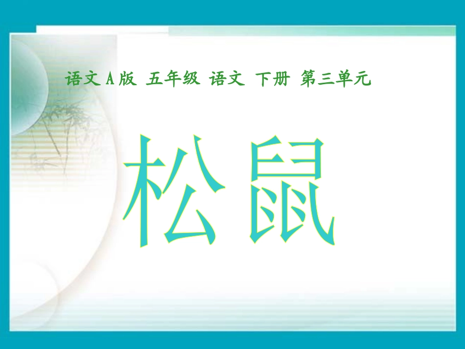(语文A版)五年级语文下册课件-松鼠-1_第1页