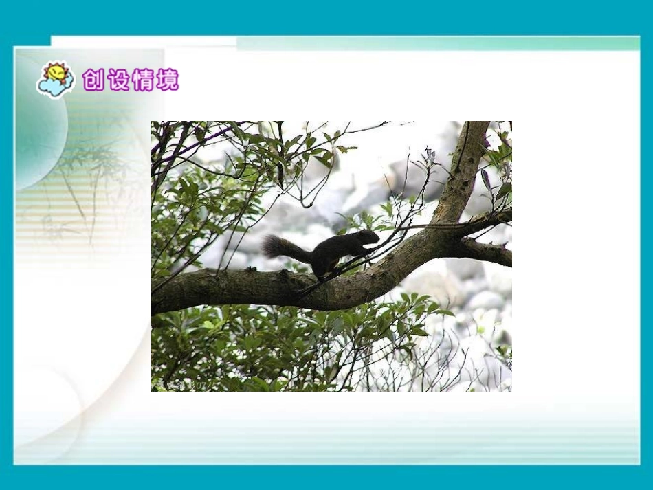 (语文A版)五年级语文下册课件-松鼠-1_第2页