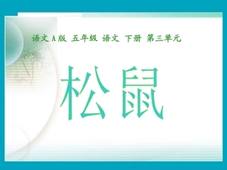 (语文A版)五年级语文下册课件-松鼠-1