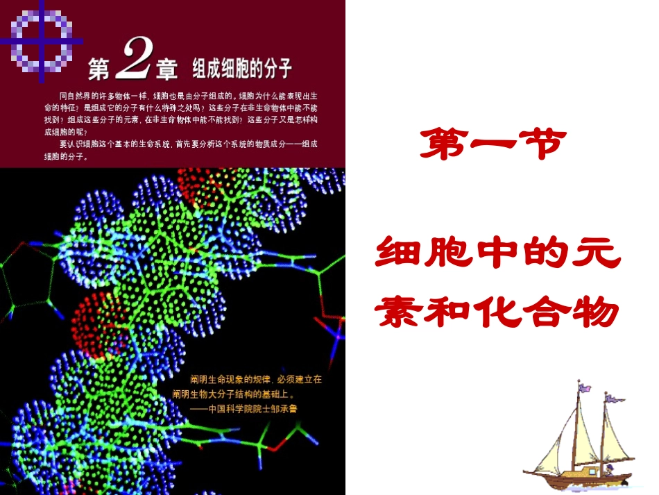 第一节细胞的化学组成-(2)_第1页