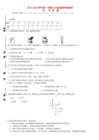 九年级化学下学期假期学情调研试卷 新人教版试卷