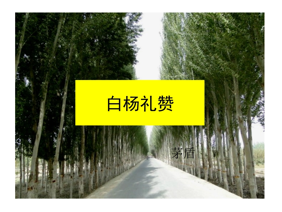 14白杨礼赞_第1页
