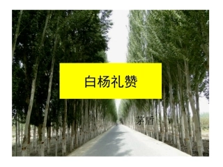 14白杨礼赞