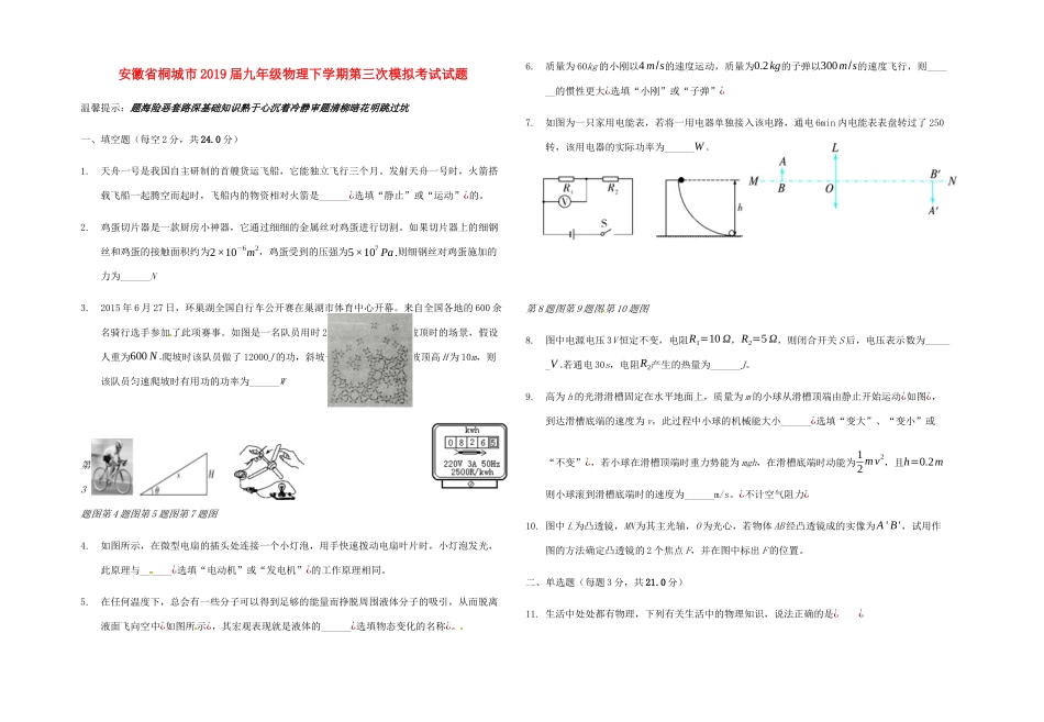 安徽省桐城市九年级物理下学期第三次模拟考试试卷_第1页