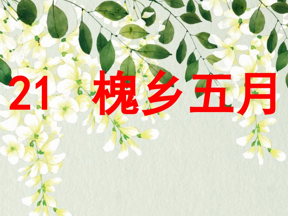 21槐乡五月_第1页