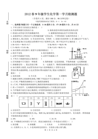 九年级化学下学期第一学月检测试卷(pdf) 新人教版试卷