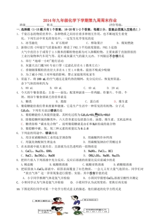 九年级化学下学期第九周周末作业试卷