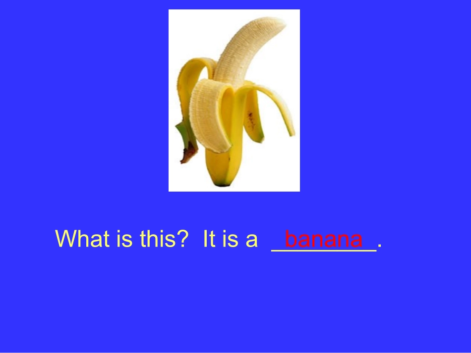 module4animal_第3页