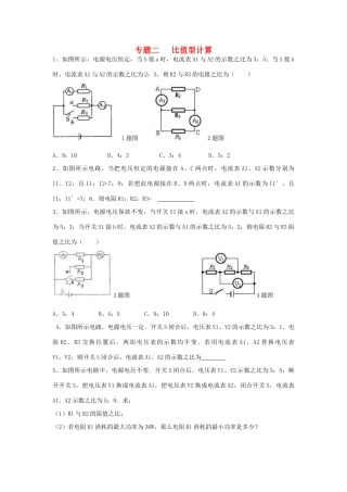 九年级物理 专题二电学比值型计算题总汇试卷