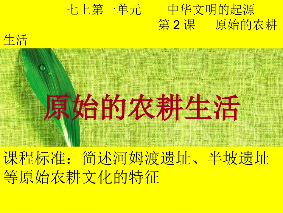 第2原始的农耕生活_第1页