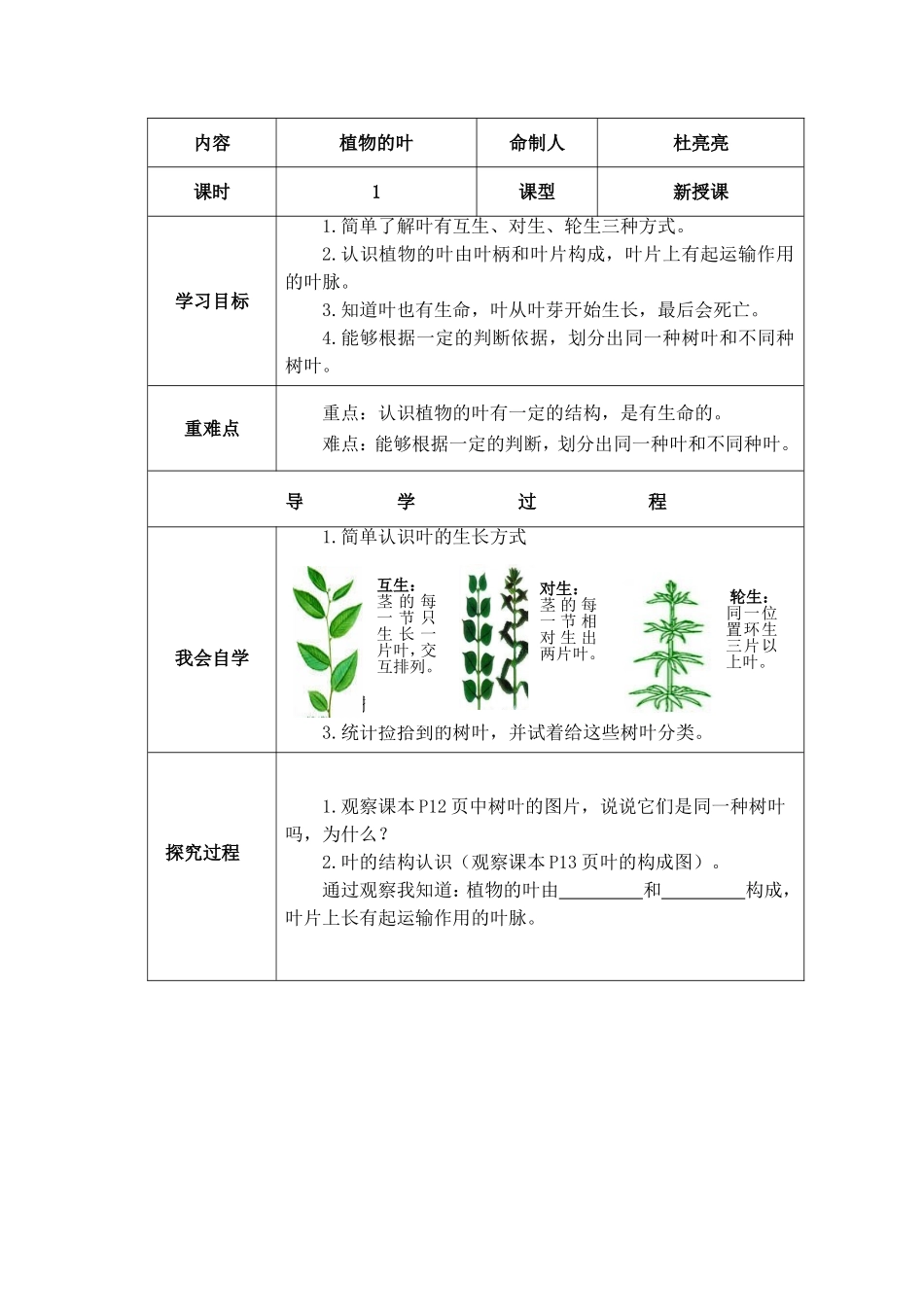 1.5植物的叶_第2页