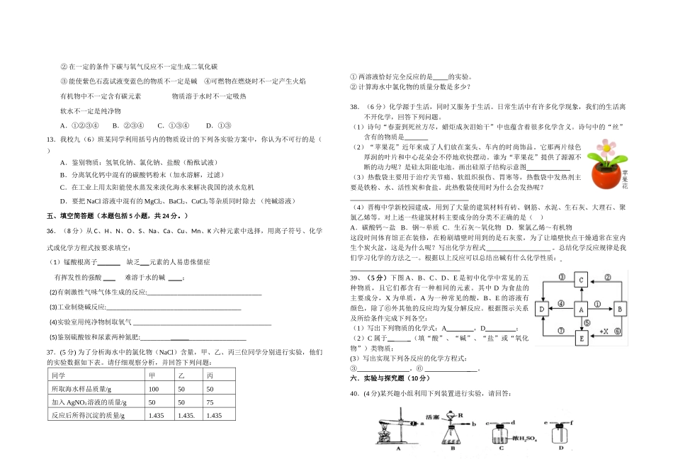 九年级化学适应性考试卷人教新课标版试卷_第2页