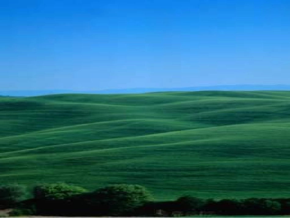 草原的早晨第一课时_第3页