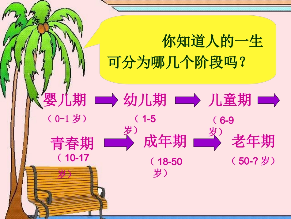 第四课《欢快的青春节拍》_第2页