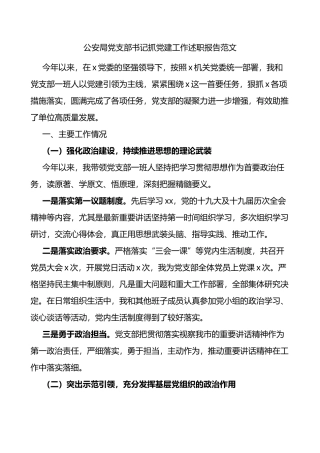 公安局党支部书记抓党建工作述职报告范文