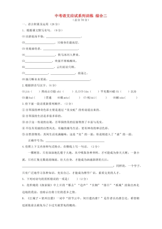 中考语文应试系列训练 综合二试卷