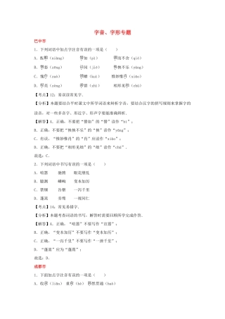 中考语文试卷按考点分项汇编 字音、字形专题试卷