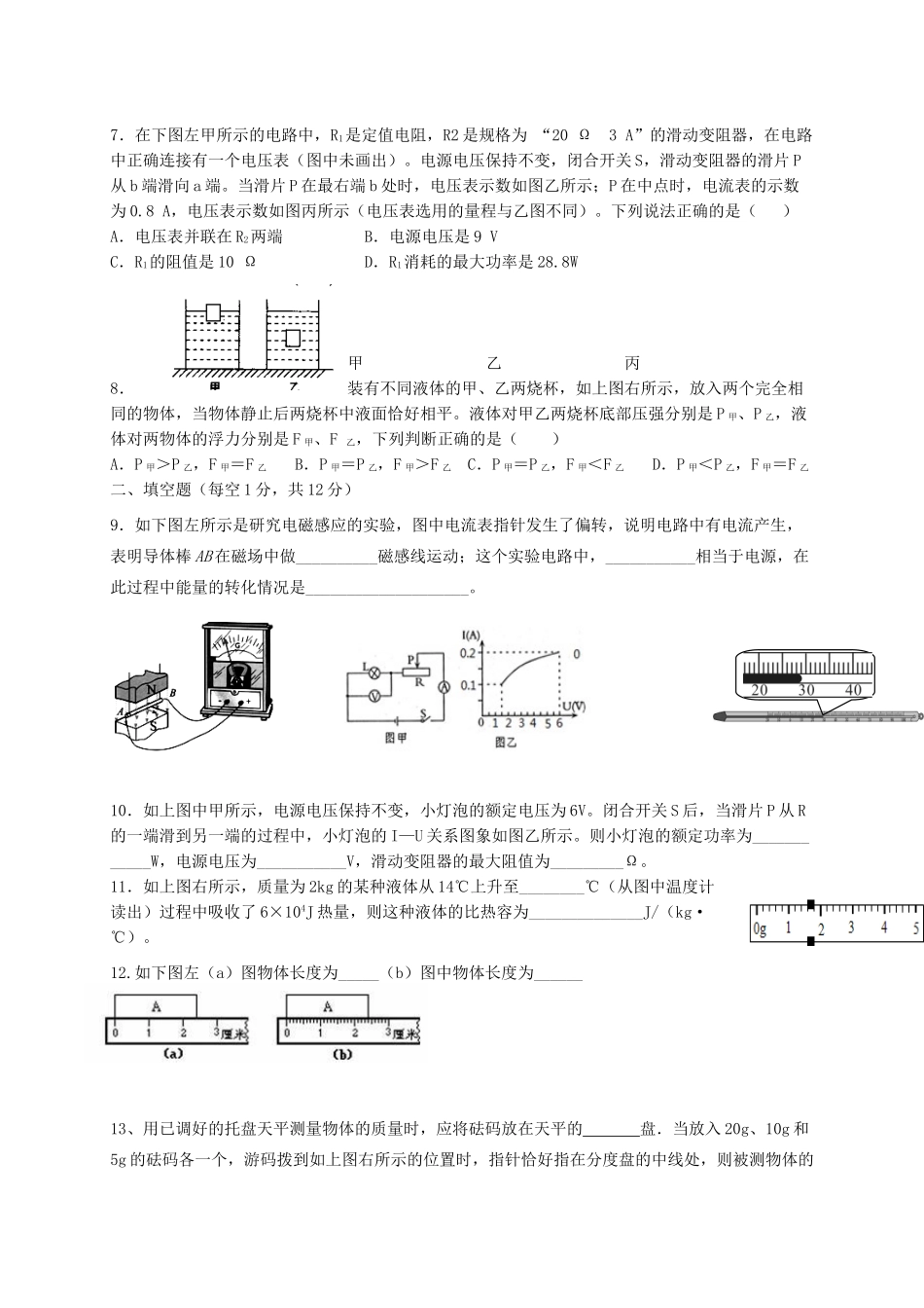 四川省简阳市届九年级物理下学期期中试卷_第2页