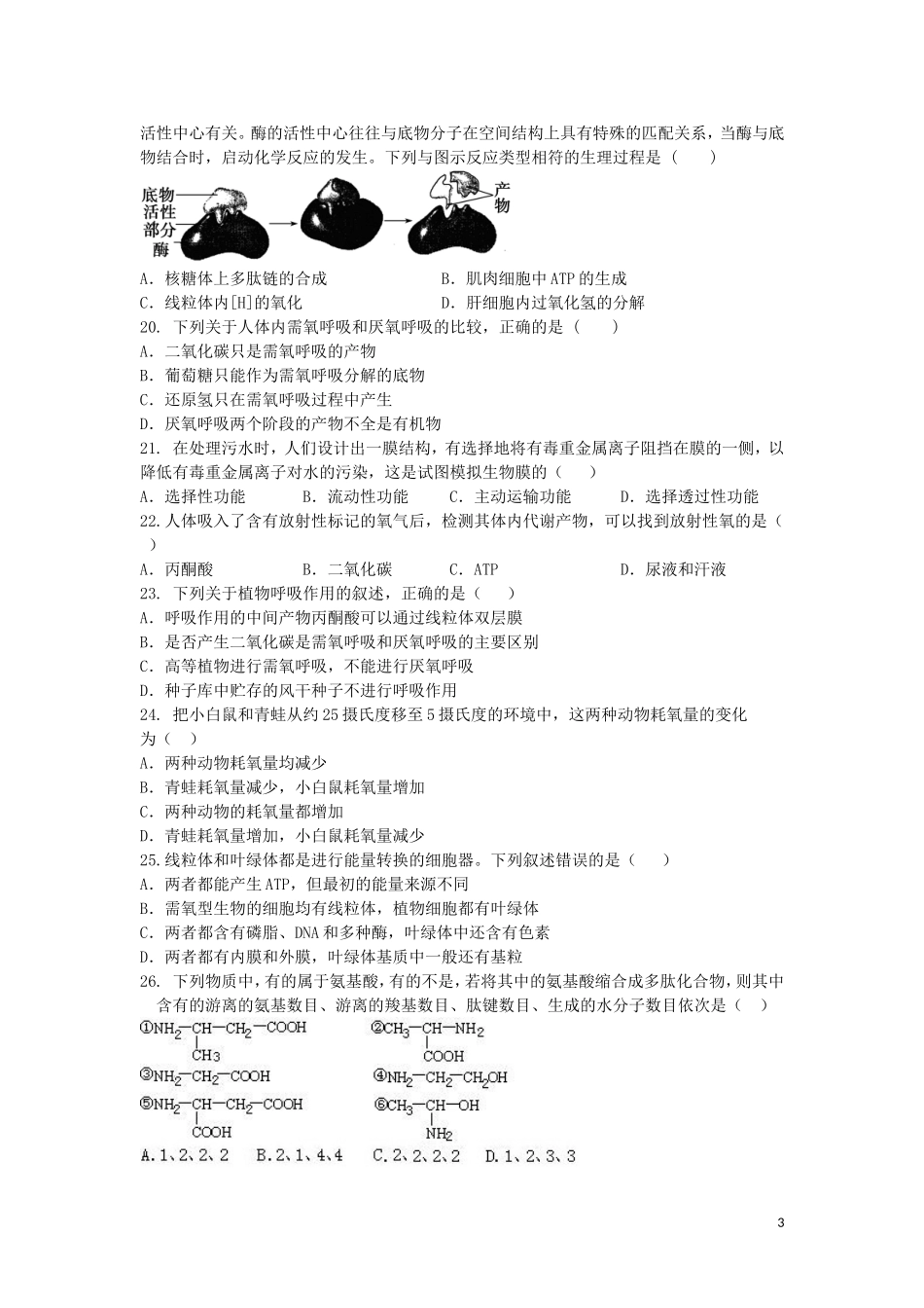 浙江省杭州市2012-2013学年高二生物上学期期中试卷(无答案)浙科版_第3页