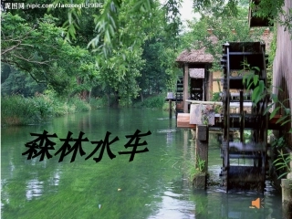 聆听森林水车