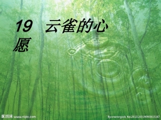 19云雀的心愿第一课时