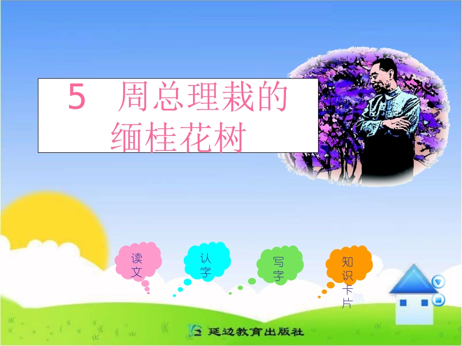 《周总理栽的缅桂花树》课件_第1页