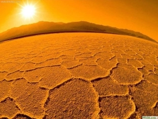 我应该感到自豪才对