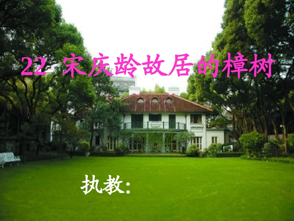 22.宋庆龄故居的樟树_第1页