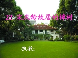 22.宋庆龄故居的樟树