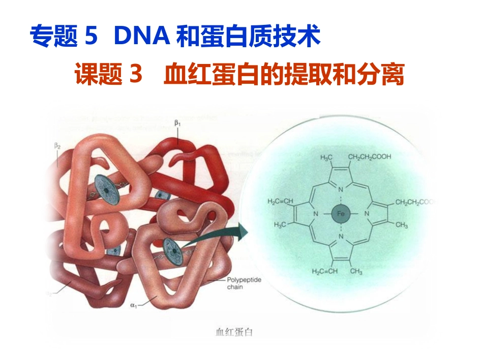 课题3-血红蛋白的提取和分离-(4)_第1页